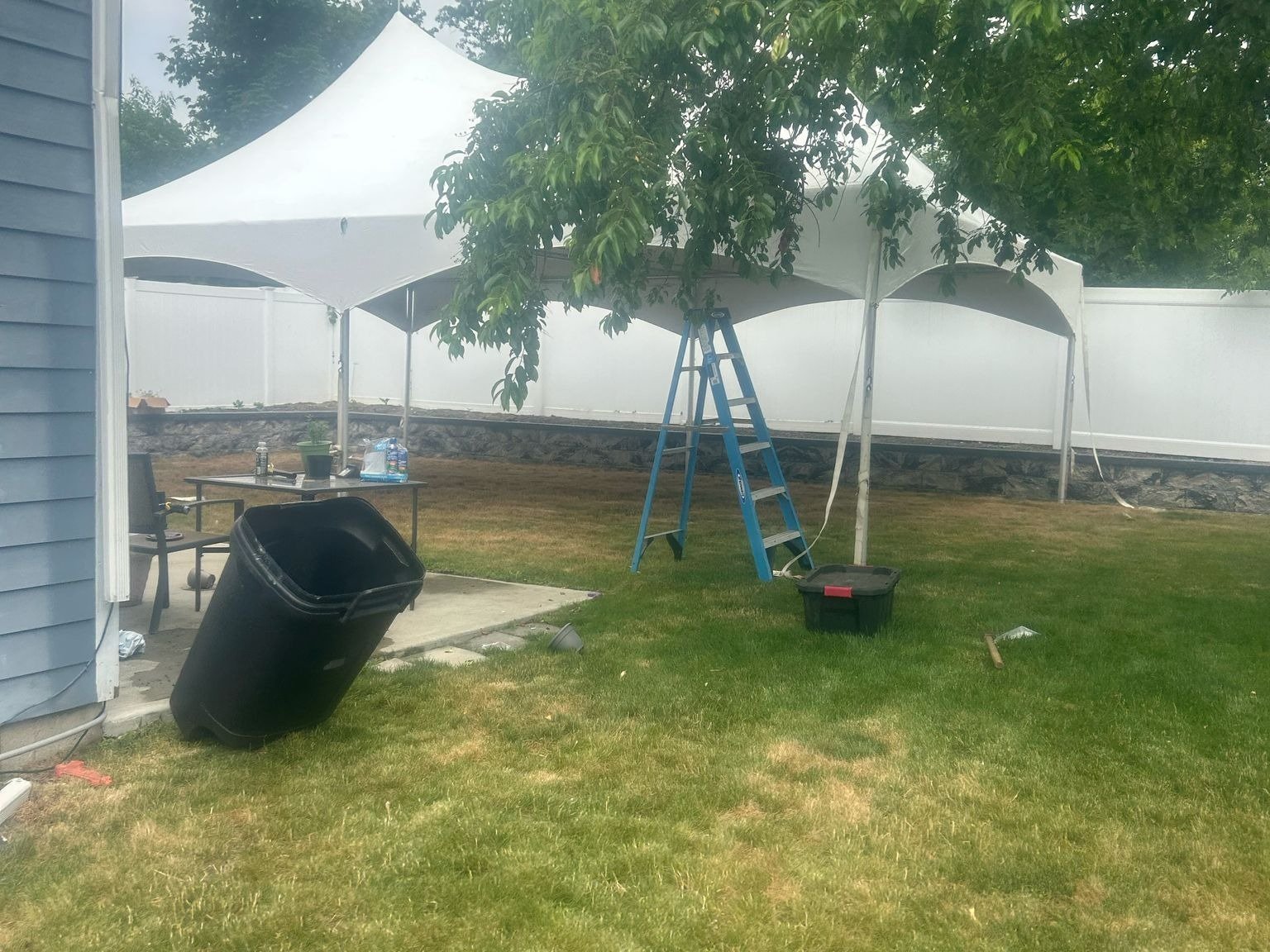 Party Twins Rental